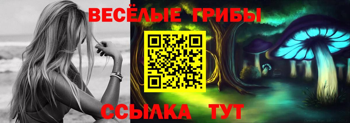 Псилоцибиновые грибы ЛСД  Вход с VPN  Кинель  Галлюциногенные грибы мицелий 