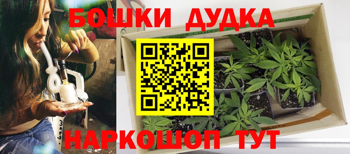 Кинель  Шишки марихуана сатива  Вход с VPN  Конопля конопля 